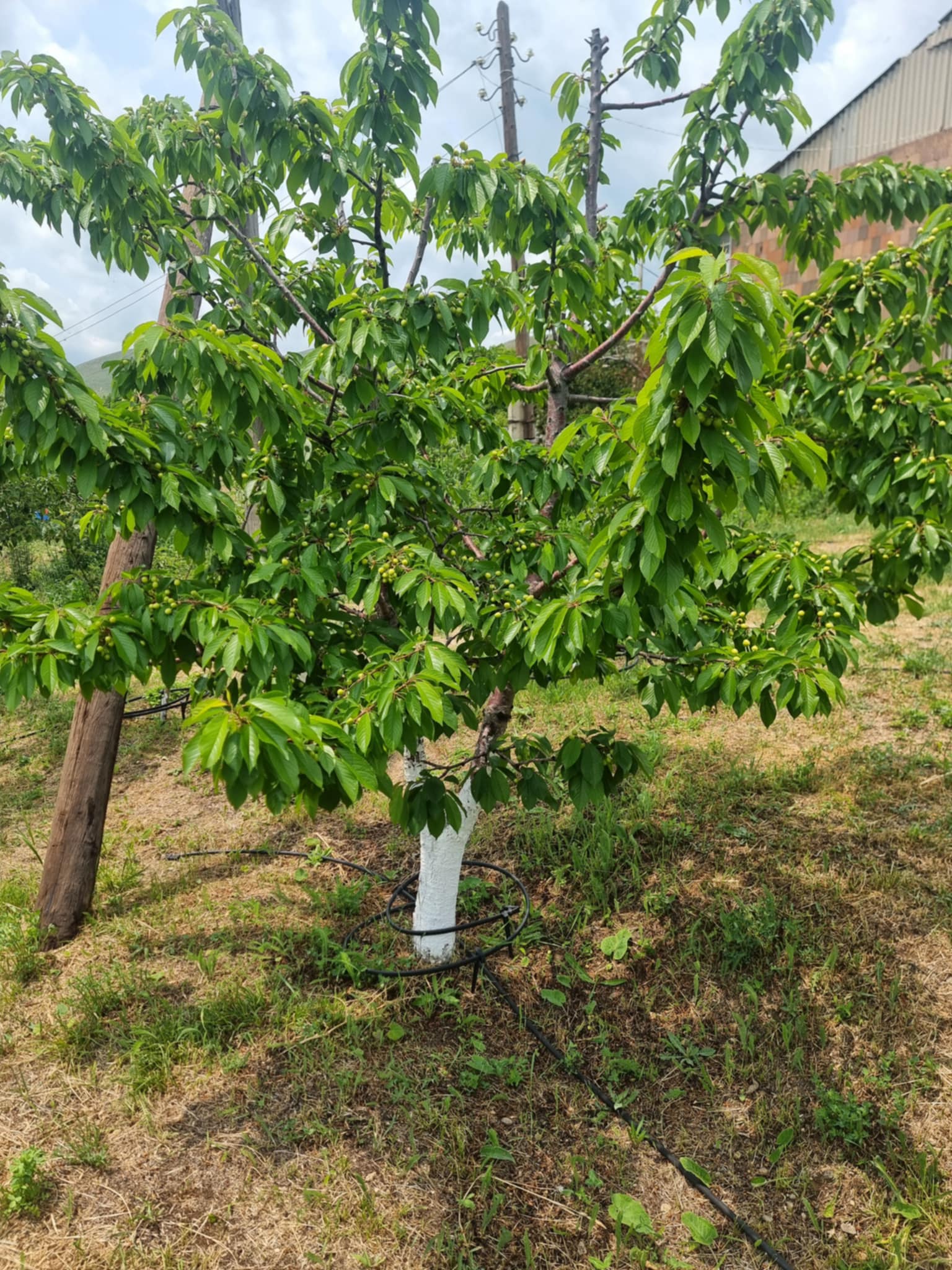single-post